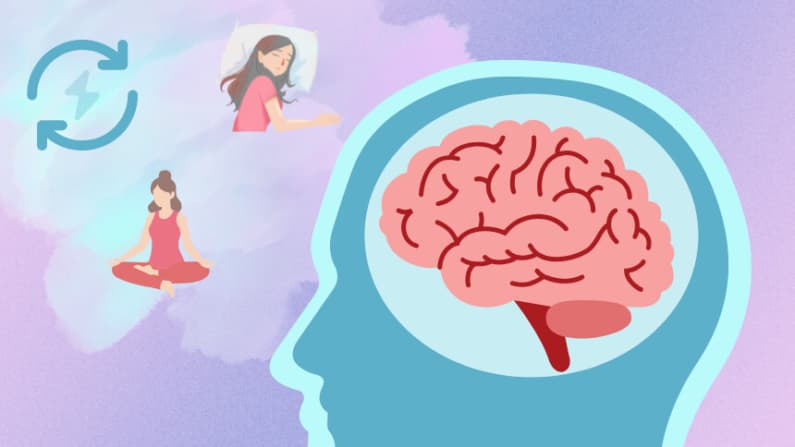 La defensa secreta de su cerebro contra el Alzheimer