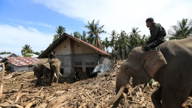 Inundaciones dejan casi mil muertos en Indonesia; varias zonas siguen sin luz ni asistencia