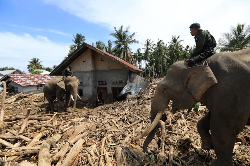 Funcionarios del Ministerio de Medio Ambiente y Silvicultura de Indonesia montan elefantes de Sumatra entre los escombros en Meureudu, Pidie Jaya, Indonesia,este lunes. Cuatro elefantes de Sumatra domesticados fueron desplegados para ayudar a limpiar escombros en la zona afectada por las inundaciones. Según la Agencia Nacional de Gestión de Desastres, las inundaciones y deslizamientos de tierra provocados por el ciclón tropical Senyar han causado la muerte de más de 950 personas en las provincias de Aceh, Sumatra del Norte y Sumatra Occidental. (EFE/ Hotli Simanjuntak)