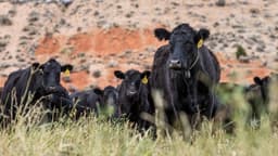 La administración Trump se enfrenta a un difícil equilibrio en materia de agricultura