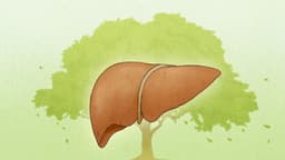 El hígado regula el flujo de Qi: cómo la ira puede interrumpirlo