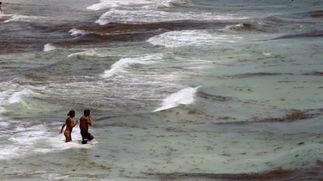Advierten no es seguro nadar en estas seis playas en México durante estas vacaciones