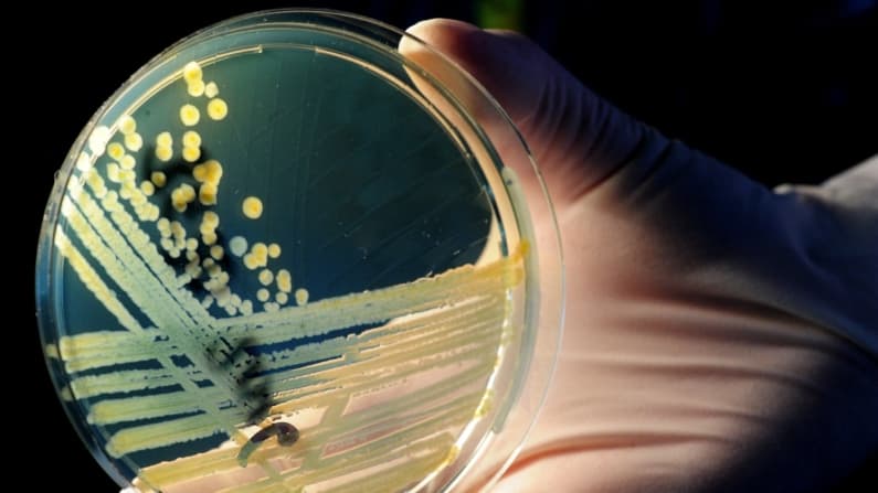 Investigador chino acusado de contrabandear peligrosa bacteria a Estados Unidos