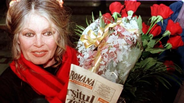 Fallece Brigitte Bardot, ícono del cine francés y figura de la cultura pop a los 91 años