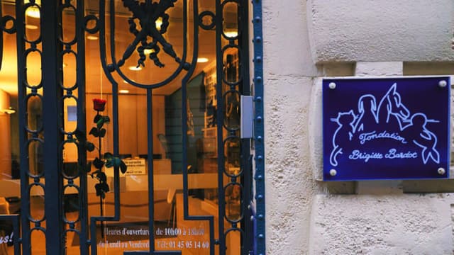 Fallece Brigitte Bardot provocando homenajes y reacciones internacionales