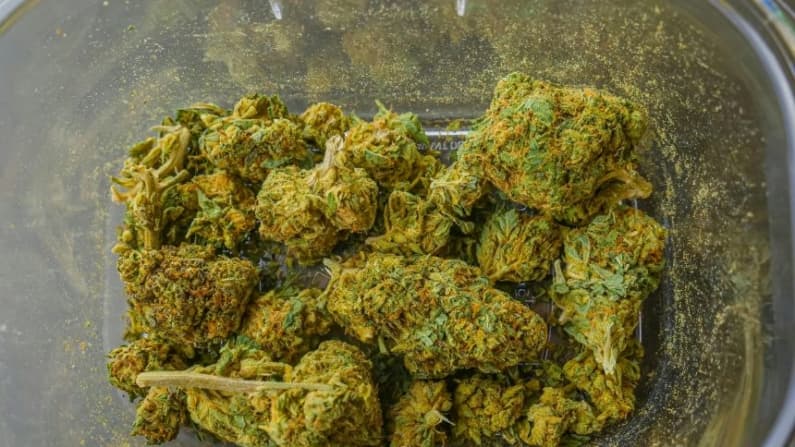 Trastorno por consumo de marihuana que provoca vómitos se multiplica por siete