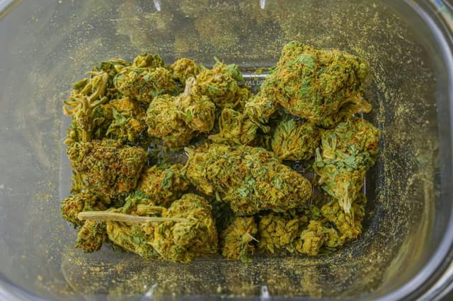 (Foto de Kindel Media/Pexels)