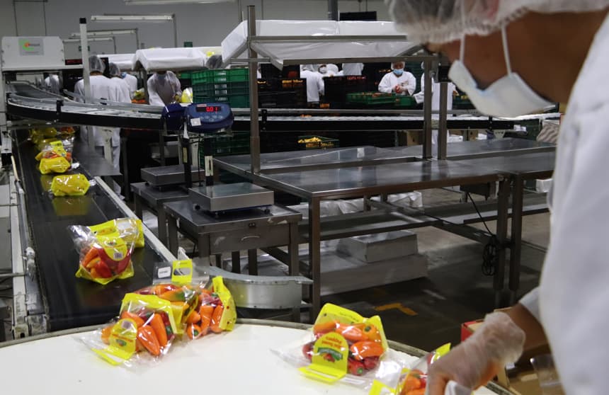 Fotografía cedida por la Secretaría de Agricultura y Desarrollo Rural (SADER) que muestra a trabajadores en una empresa empacadora de alimentos este domingo, en Ciudad de México, México. (EFE/ Secretaría de Agricultura y Desarrollo Rural)