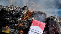 Autoridades decomisan casi 20 toneladas de tabaco ilegal procedentes de Japón