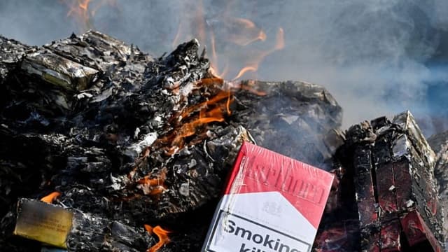 Autoridades decomisan casi 20 toneladas de tabaco ilegal procedentes de Japón