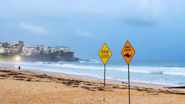 Sídney registra 3 ataques de tiburón en 24 horas con 2 niños y un adulto heridos