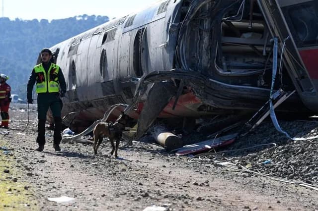 Un miembro de los servicios de emergencia trabaja con un perro en el lugar de una colisión de trenes de alta velocidad que causó al menos 43 muertos en Adamuz, sur de España, el 20 de enero de 2026. El accidente ocurrió la tarde del 18 de enero cuando un tren operado por la compañía ferroviaria Iryo, que viajaba de Málaga a Madrid, descarriló cerca de Adamuz, cruzando a la otra vía, donde chocó contra un tren que venía en sentido contrario, que también descarriló.
(CRISTINA QUICLER/ AFP vía Getty Images)