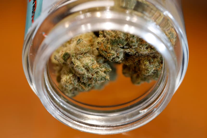 SAN FRANCISCO, CALIFORNIA - 11 DE AGOSTO: Flores de marihuana expuestas en un frasco en California Street Cannabis Company el 11 de agosto de 2025 en San Francisco, California. Las acciones de las empresas de cannabis subieron hasta un 10 % tras los informes de que la administración Trump está considerando reclasificar la marihuana a nivel federal, pasando de ser una droga de la Lista I a una de la Lista III. Esta medida supondría un paso hacia la despenalización de la droga en todo el país. (Foto de Justin Sullivan/Getty Images).