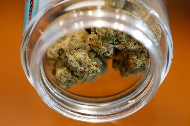 SAN FRANCISCO, CALIFORNIA - 11 DE AGOSTO: Flores de marihuana expuestas en un frasco en California Street Cannabis Company el 11 de agosto de 2025 en San Francisco, California. Las acciones de las empresas de cannabis subieron hasta un 10 % tras los informes de que la administración Trump está considerando reclasificar la marihuana a nivel federal, pasando de ser una droga de la Lista I a una de la Lista III. Esta medida supondría un paso hacia la despenalización de la droga en todo el país. (Foto de Justin Sullivan/Getty Images).