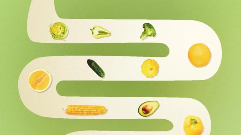 La microbiota intestinal determina si los alimentos saludables realmente le benefician