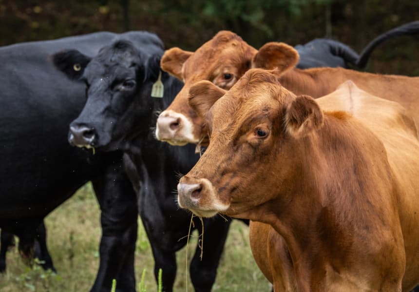 Imagen ilustrativa.(John Fredricks/The Epoch Times)