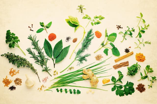 Lo que debes saber antes de usar hierbas: Ocho puntos clave