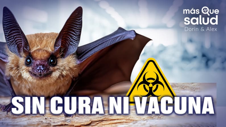 Virus Nipah: La Verdad que NO le cuentan sobre el brote en India (¿Amenaza Global?)