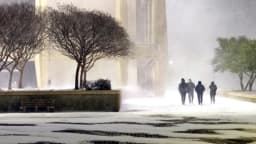 Clima invernal provoca fuertes nevadas, cancelaciones de vuelos y, en Florida, la muerte de iguanas