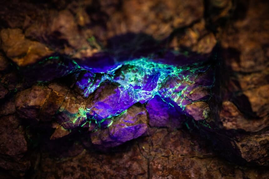 Una luz negra revela los colores de un yacimiento de uranio en el condado de San Bernardino, California, el 10 de diciembre de 2025. (John Fredricks/The Epoch Times).