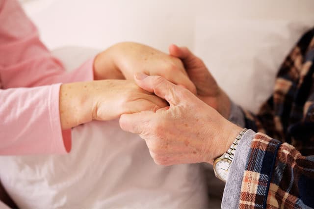 Imagen Ilustrativa (LipikStockMedia en Freepik)