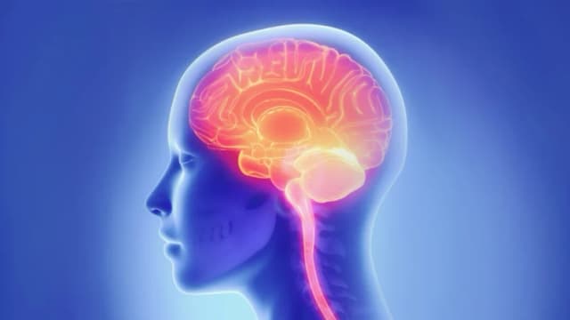 Cómo una mala noche de sueño afecta al sistema de limpieza del cerebro