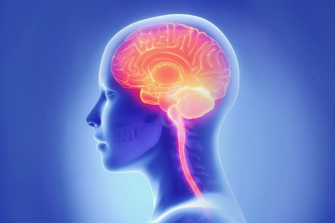 (CLIPAREA l Medios personalizados/Shutterstock)