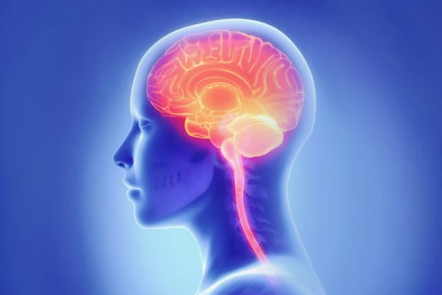 (CLIPAREA l Medios personalizados/Shutterstock)