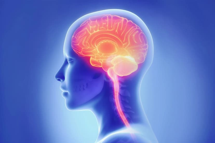 (CLIPAREA l Medios personalizados/Shutterstock)