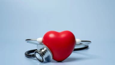 ¿Conoce la proteína que hace crecer al corazón con precisión?