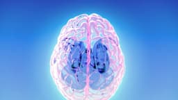 El "sistema de limpieza" del cerebro revela el riesgo de demencia hasta 10 años antes