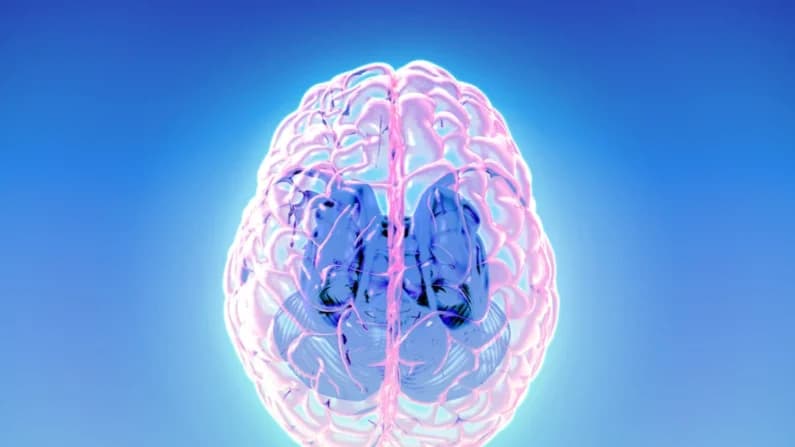 El "sistema de limpieza" del cerebro revela el riesgo de demencia hasta 10 años antes
