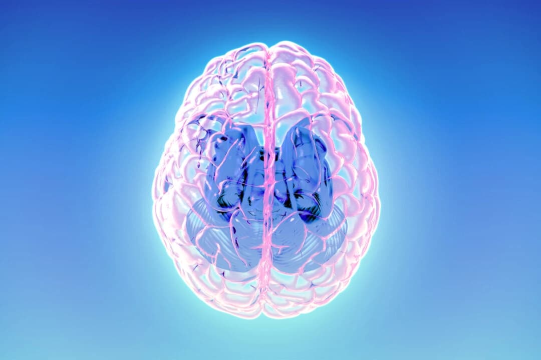 (Jolygon/Shutterstock)