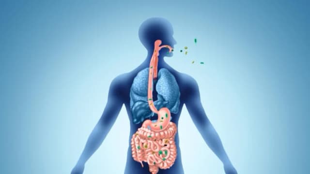 Su aliento revela su salud intestinal