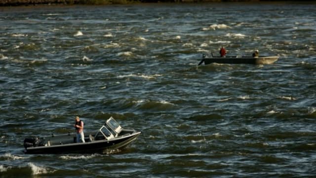 El intento de Oregón de hacer ilegal la caza, la pesca y la ganadería