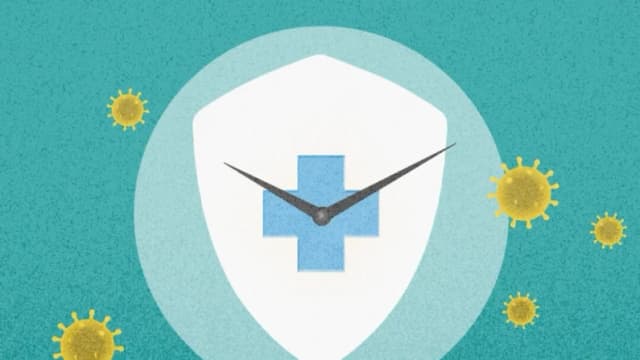 Su sistema inmunológico funciona como un reloj: aquí le mostramos cómo optimizarlo