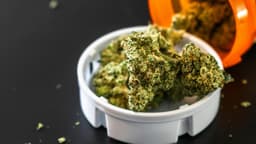 ¿Qué ocurre cuando el cannabis no se elimina del organismo?