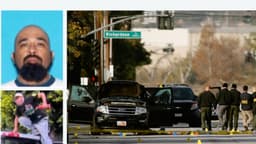 Hombre se declara culpable de agredir a agente de inmigración durante motín en California