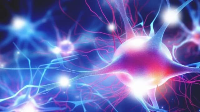 Alivie el dolor crónico de los nervios: 4 formas de cuidar la salud de las mitocondrias