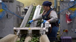 México y Canadá acuerdan impulsar exportación de frutas y hortalizas: “Hemos cumplido todos al 100%”