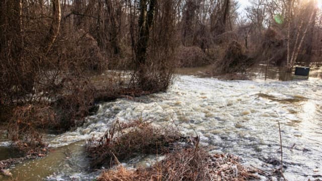 Alcaldesa de DC declara emergencia y pide ayuda federal por derrame en el río Potomac