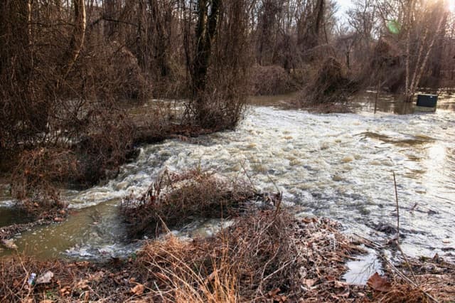 Las aguas residuales sin tratar fluyen hacia el río Potomac tras una rotura masiva de una tubería de alcantarillado en Glen Echo, Maryland, el 23 de enero de 2026. (Cliff Owen /AP Photo).