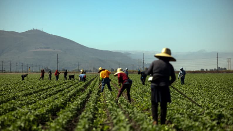 Acusan a tres personas por presunta trata laboral mediante programa de visas agrícolas