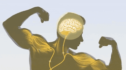 Su mente puede fortalecer sus músculos: aquí le explicamos cómo funciona