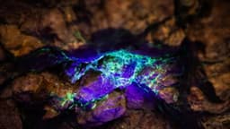 Pentágono informa al Senado que plan de Donald Trump sobre minerales críticos dará resultados