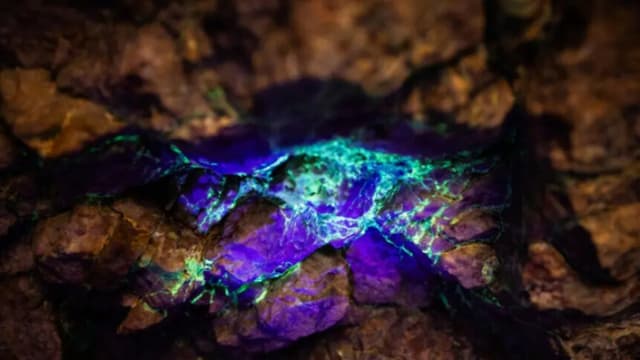 Pentágono informa al Senado que plan de Donald Trump sobre minerales críticos dará resultados