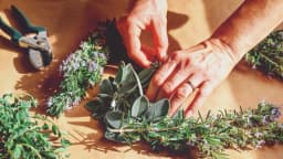 6 formas sencillas de convertir hierbas comunes en remedios curativos