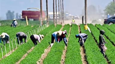 ¿Qué pasará con los inmigrantes ilegales?