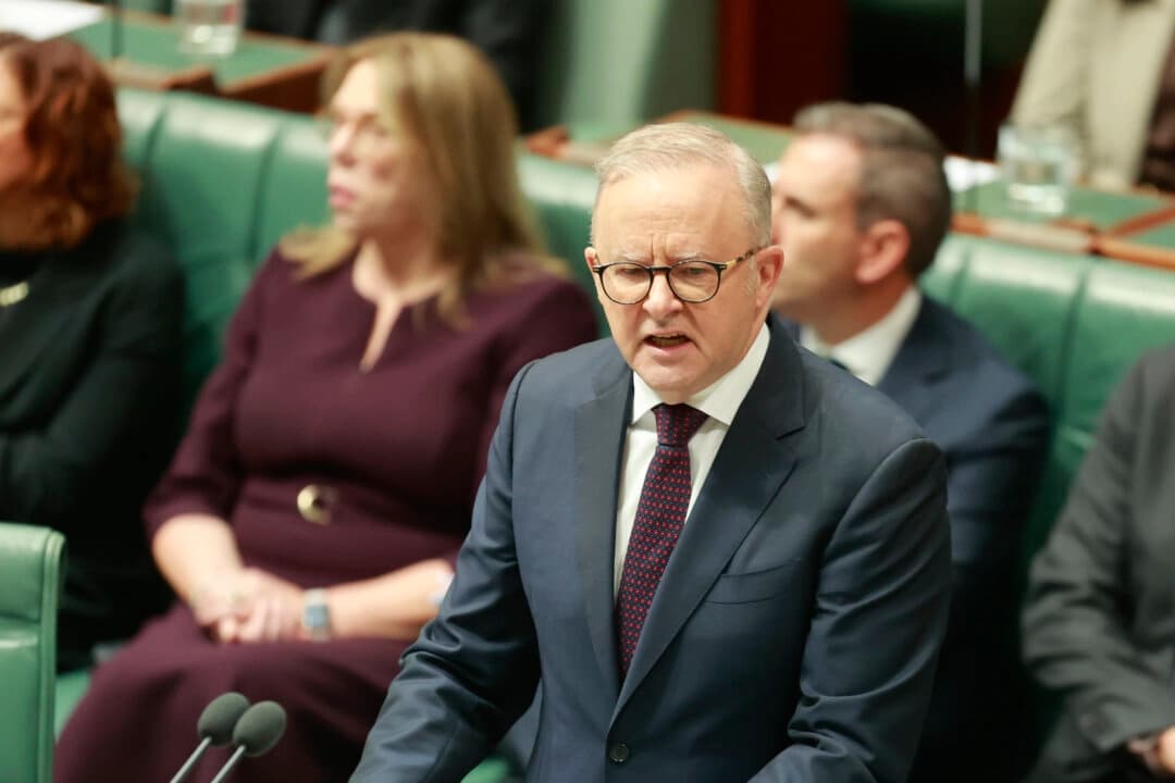 El primer ministro Anthony Albanese habla en el Parlamento de Canberra, Australia, el 19 de enero de 2026. (Hilary Wardhaugh/Getty Images)