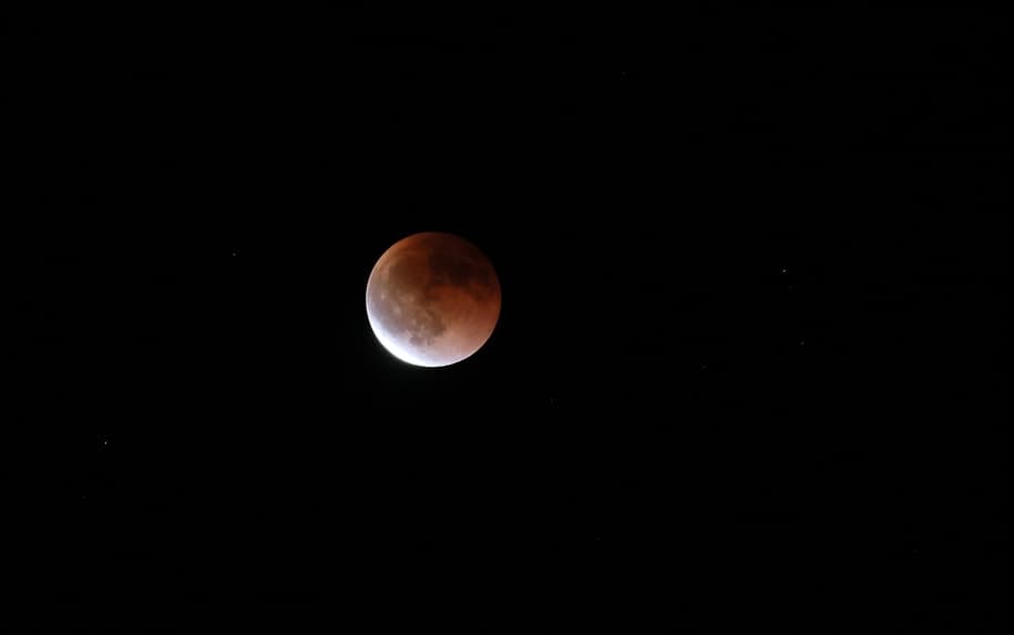 Espectáculo astronómico global: Eclipse lunar total se podrá ver este martes en América, el Pacífico y Asia